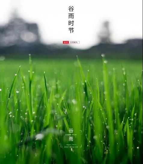 谷雨時節(jié)，思泊湖別春